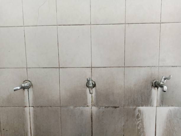 Best Water damage contractors near me  in Hillsboro Beach, FL