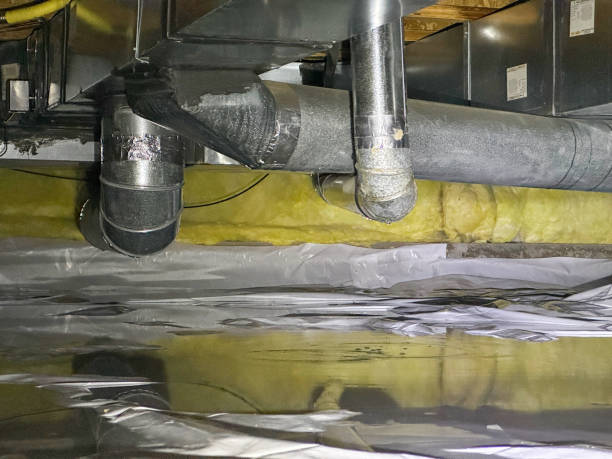 Best Local water damage restoration  in Hillsboro Beach, FL