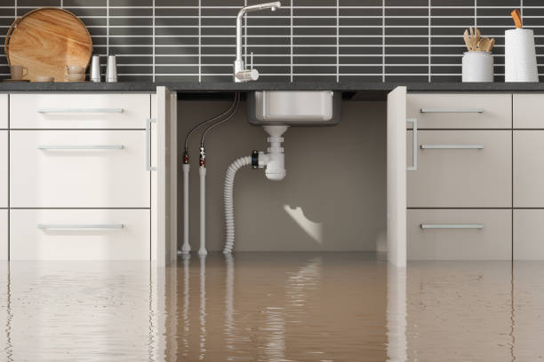 Best Water damage restoration process  in Hillsboro Beach, FL