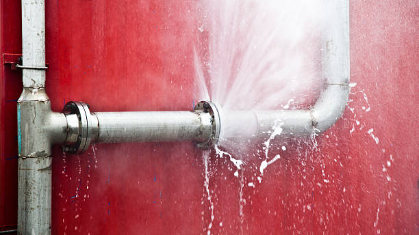 Best Basement water damage restoration  in Hillsboro Beach, FL